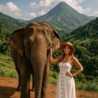 (Thai Elephant Conservation Center) – ลำปาง