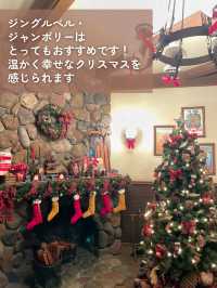 【 私の大好きなディズニーランド🎄 】