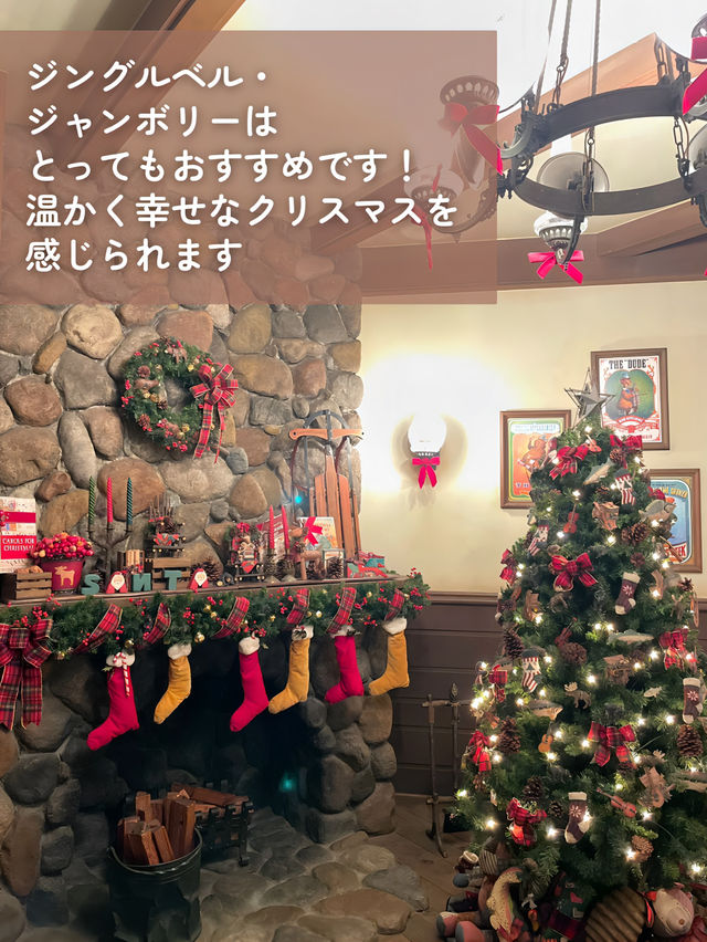 【 私の大好きなディズニーランド🎄 】