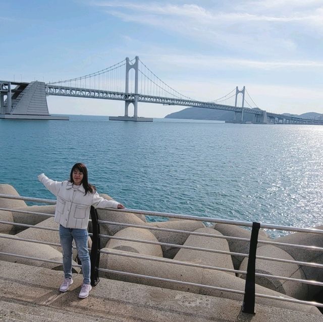 釜山🇰🇷廣安大橋🌁海濱咖啡街～花海片片