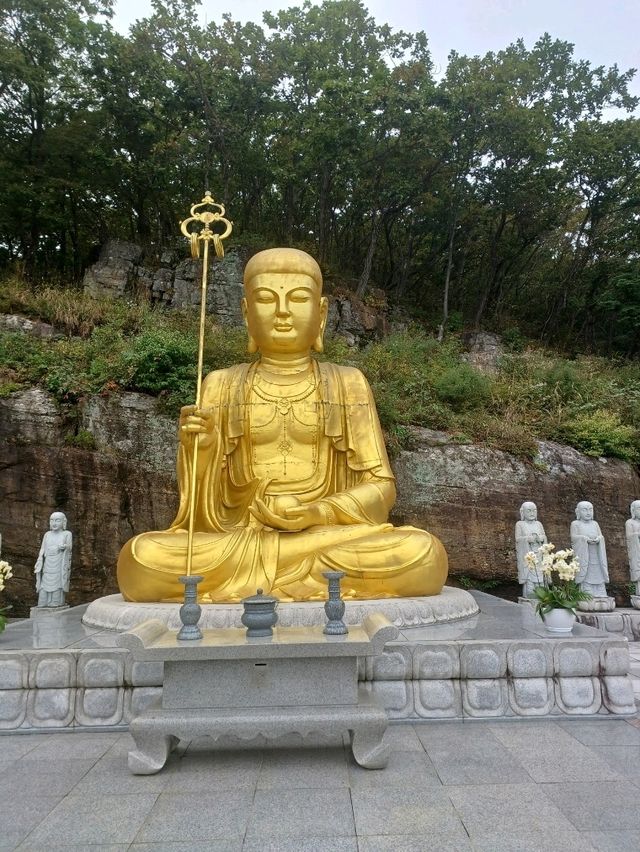고즈넉한 산사, 마음이 쉬어가는 김해 장유사🌿