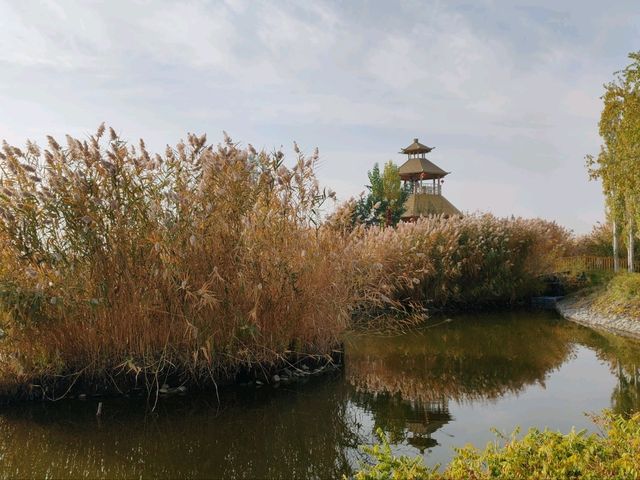The Charm of a Water Town in Autumn