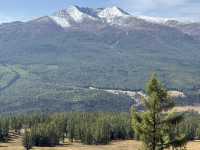 🇨🇳Got my Wallpaper in Xinjiang,China🩷