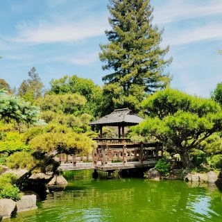 솔로 여행자를 위한 비밀: 헤이워드의 숨겨진 정원