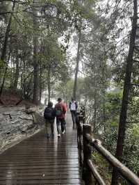 🌲 Zhangjiajie National Forest Park — The Ultimate 2-Day Guide for First-Timers 🌄