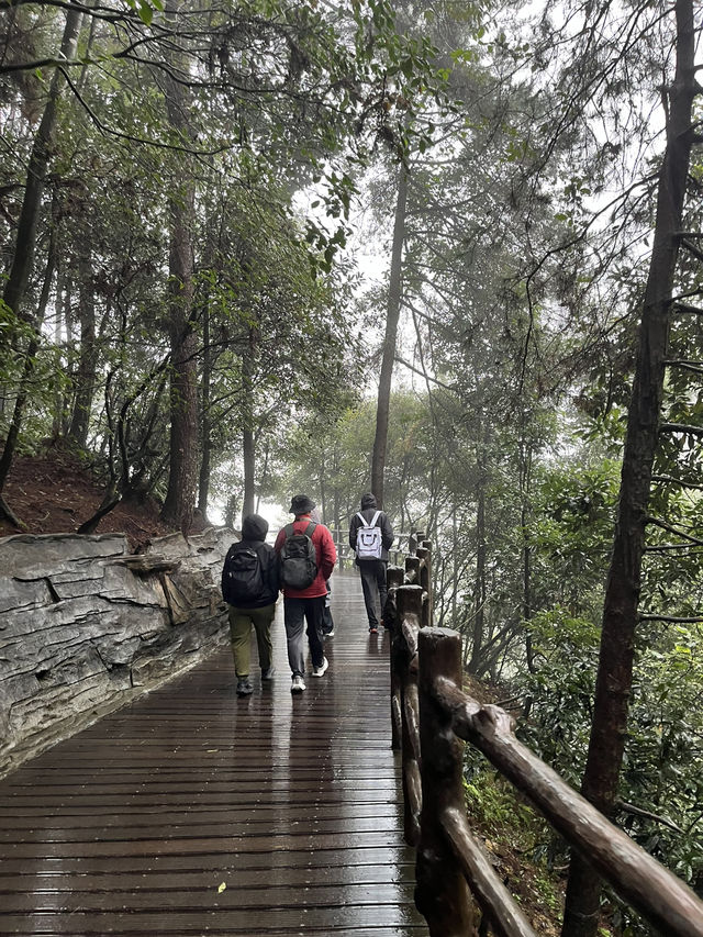 🌲 Zhangjiajie National Forest Park — The Ultimate 2-Day Guide for First-Timers 🌄