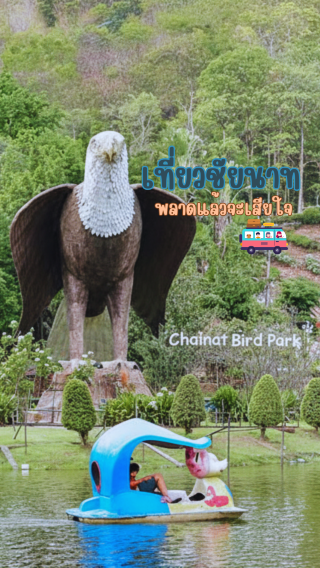 Travel to Chainat, a small city with a big heart.