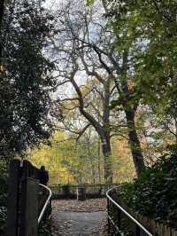 🌳✨ Green Escape & Elegance at Holland Park 🏞️