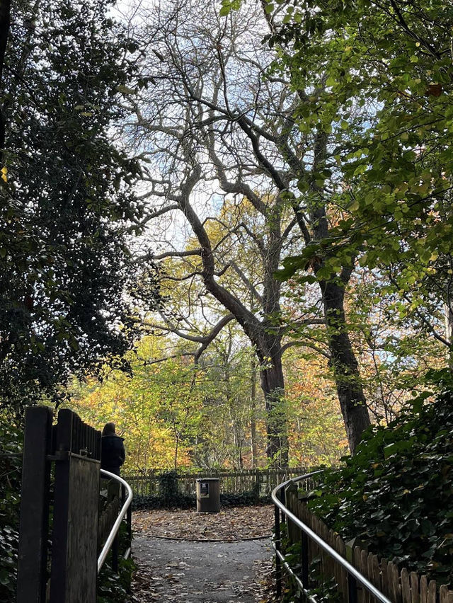 🌳✨ Green Escape & Elegance at Holland Park 🏞️