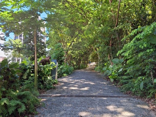 The Bright Fuzhou Shan Park in Da'an District, Taipei City, Taiwan The Bright Fuzhou Shan Park in Da'an District, Taipei City, Taiwan