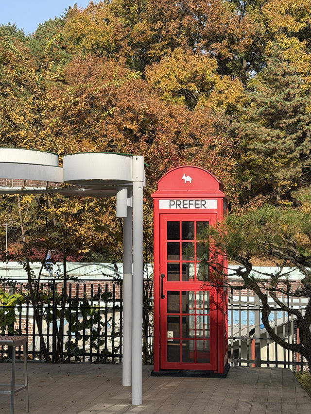 평택 Prefer, 감성 가득한 힐링 카페