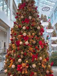 💞기흥 대형 카페 힐링 명소 포레스트아웃팅스 용인