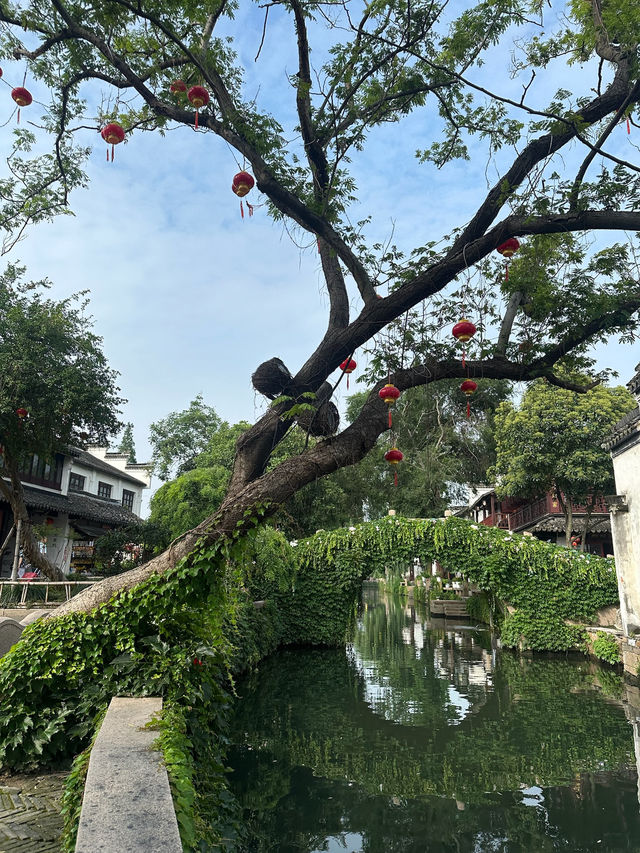 去蘇州，千萬別錯過中國有名的水鄉古鎮  - 周莊✨