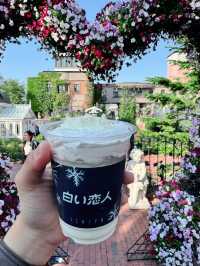 札幌初夏兩日散步：把晴天、海膽與限定 T 都帶回家