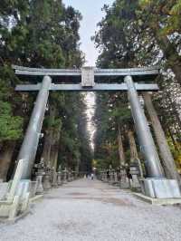 《巨杉守護的靜謐時光•北口本宮富士淺間神社》
