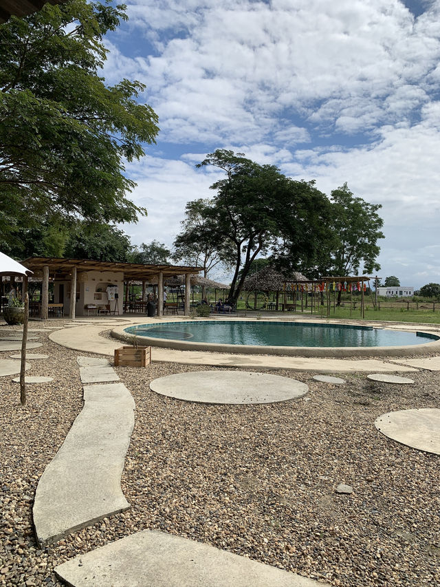 치앙마이 시내에서 20분만 가면 볼 수 있는 코끼리카페 치앙마이 시내에서 20분만 가면 볼 수 있는 코끼리카페