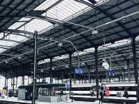 The Lion’s Lament: Lucerne’s Most Touching Tribute