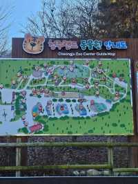 🐯동물들을 사랑하는 동물원 청주랜드동물원 다녀오기🦁