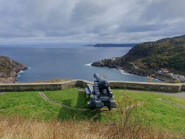紐西蘭Dunedin必去！信號山瞭望點🚗｜打卡壯麗高原美景＋歷史紀念碑