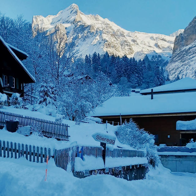 Ski Dreams Maidstone⛷️ Ski Dreams Maidstone⛷️