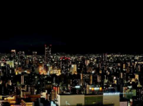 빛이 피어나는 밤