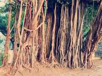 泰國🇹🇭國防部