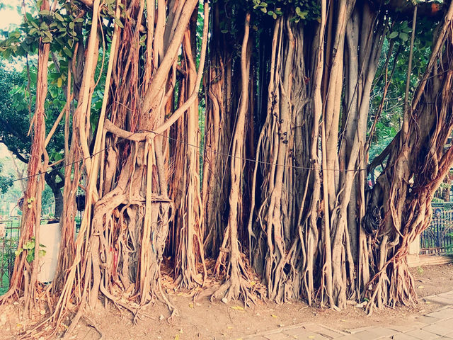 泰國🇹🇭國防部