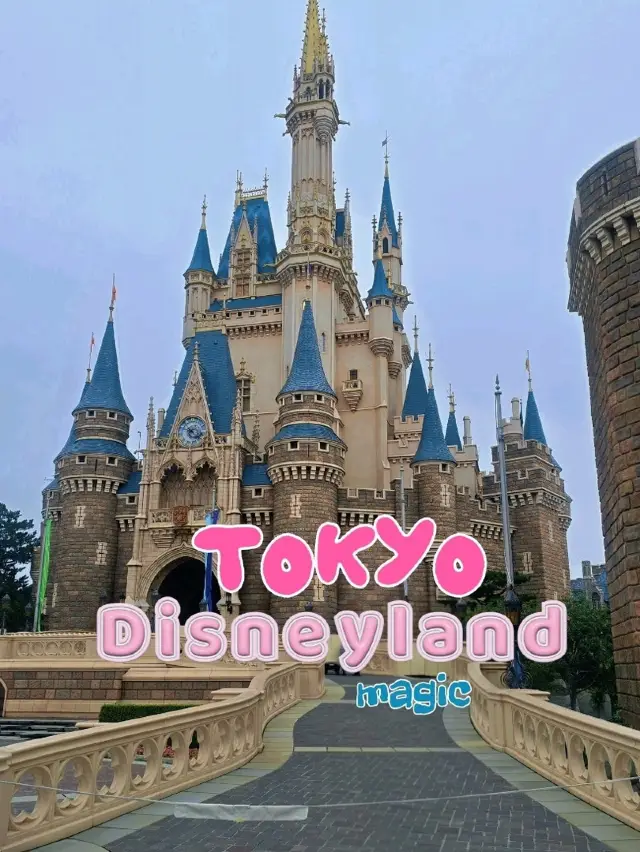 ดิสนีย์แลนด์ แเดนในฝัน