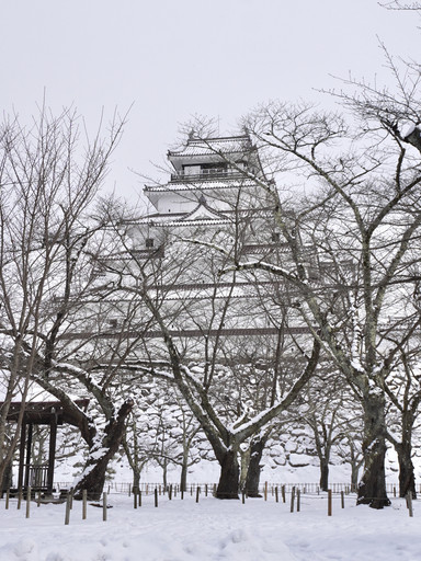 雪の中の鶴ヶ城、美しすぎる！ | Trip.com 会津若松