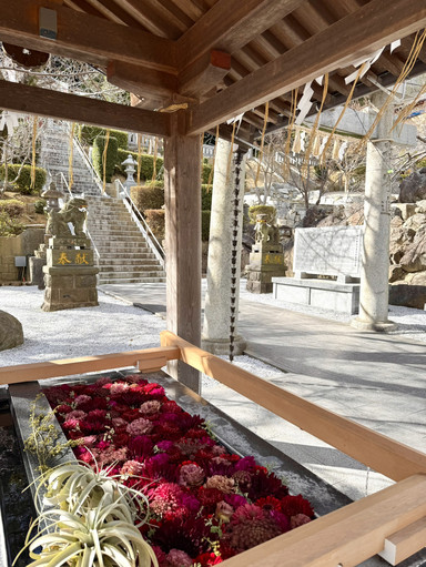 北九州】毎月2回入れ替わる色彩豊かな花手水に癒される | Trip.com