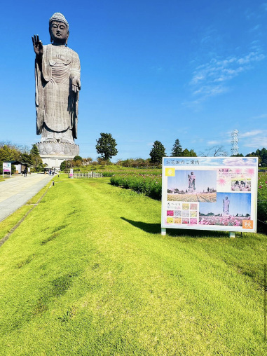 世界で最も高い青銅製の仏像を拝む | Trip.com 牛久