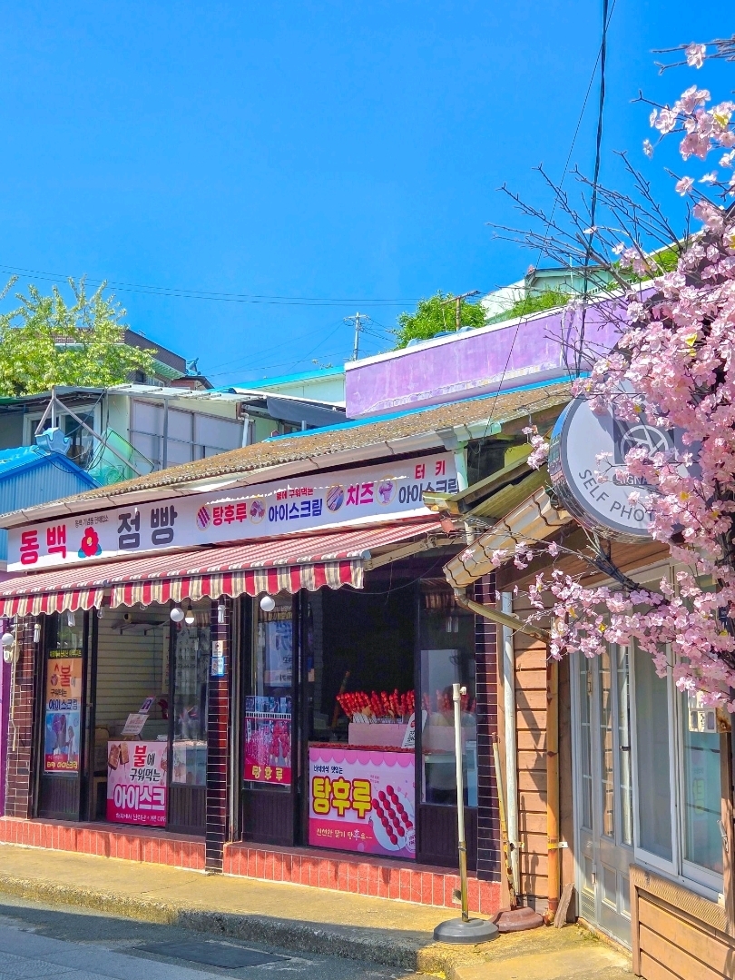 Recommended Domestic Travel Destination.