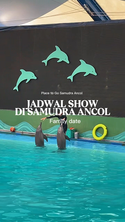 Ini dia Jadwal show Animal di Samudra Ancol yang bisa kamu save untuk persiapan libur weekend atau libur sekolah nanti .
Secara keseluruhan hampir semuanya kalian gak usah kahawatir karna weekday semua show itu 2 kali dan weekday itu show nya 3 kali jadi buat yang gak dari siang gak usah khawatir ketinggalan show nya asal kalian bisa atur waktu untuk show mana yang mau kita tonton

#travelplan #samudraancol #familytravelfun #Familydate #jakartaexplore 