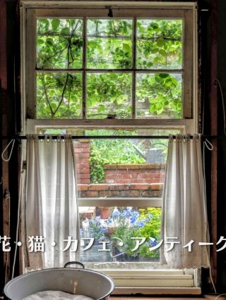 花・猫・カフェ・アンティーク