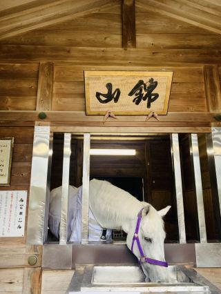 只有參拜伊勢神宮嗎？