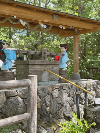 A Hidden Gem in Mishima, Shizuoka