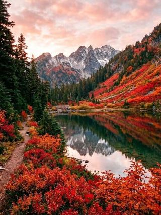 A Peaceful Escape to Pete Lake, USA 🇺🇸🏞️