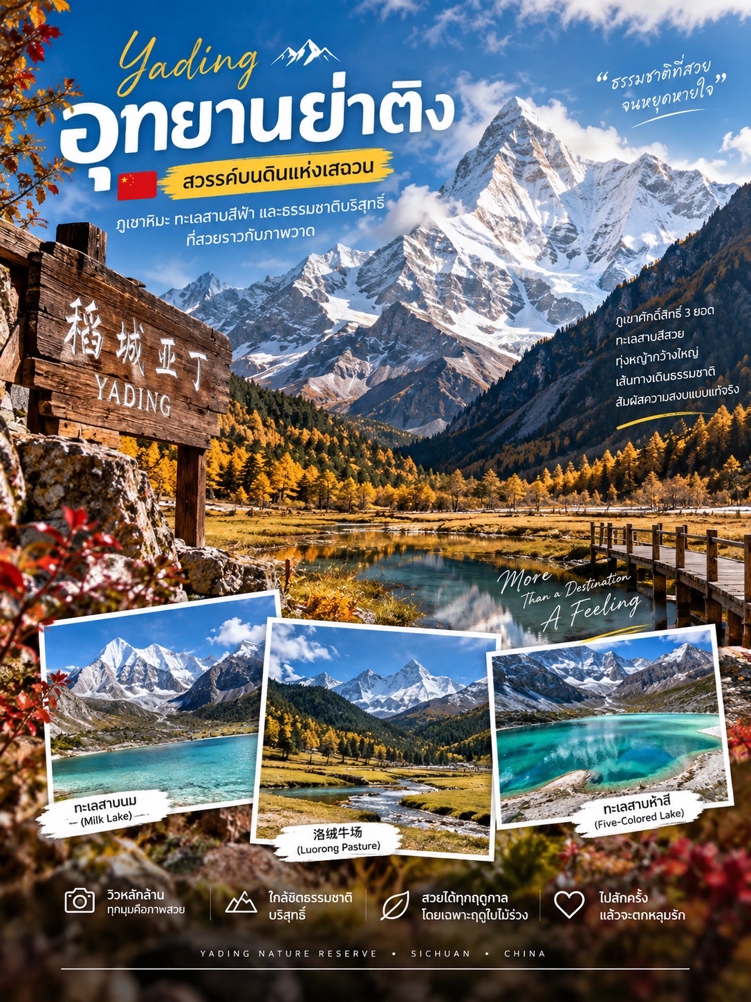 🏔️ รีวิวเที่ยว “อุทยานย่าติง” (Yading Nature Reserve) 🇨🇳
หนึ่งในจุดหมายปลายทางสายธรรมชาติของจีน ที่ได้ฉายาว่า “สวรรค์บนดิน” ✨

ถ้าใครชอบภูเขา ทะเลสาบสีฟ้า และวิวธรรมชาติแบบยิ่งใหญ่ ที่นี่คือสถานที่ที่ควรไปสักครั้ง 💙 ไฮไลต์คือ ภูเขาศักดิ์สิทธิ์ 3 ลูก ได้แก่ เซียนหน่ายรื่อ 🏔️ เซี่ยนั่วตัวจี 🏔️ และหยางม่ายหยง 🏔️ รายล้อมด้วยหุบเขา ทุ่งหญ้า และทะเลสาบน้ำสีฟ้าใสราวกับภาพวาด

📍 จุดที่ไม่ควรพลาด
· 🌲 洛绒牛场 (Luorong Pasture) — ทุ่งหญ้ากว้าง วิวภูเขาสวยมาก
· 🥛 Milk Lake — ทะเลสาบนมสีฟ้าอมเขียว ท่ามกลางภูเขาหิมะ
· 💎 Five-Colored Lake — ทะเลสาบสีสวยที่เปลี่ยนเฉดตามแสง
· 🏔️ ชมวิวภูเขาศักดิ์สิทธิ์ทั้ง 3 ลูกแบบใกล้ชิด

🥾 การเดินเที่ยว: เส้นทางบางช่วงต้องเดินขึ้นที่สูงและอากาศเบาบาง เพราะอุทยานอยู่ในพื้นที่สูง จึงควรค่อยๆ เดิน พักเป็นระยะ และเตรียมเสื้อกันหนาวให้พร้อม

💰 ค่าใช้จ่าย: ค่าเข้าชม รถรับส่งภายในอุทยาน และค่าเดินทางจะแตกต่างกันตามฤดูกาลและเส้นทาง แนะนำเช็กราคาล่าสุดก่อนเดินทาง

✨ ช่วงที่วิวสวย: โดยเฉพาะช่วงฤดูใบไม้ร่วง ใบไม้เปลี่ยนสีตัดกับภูเขาหิมะและทะเลสาบสีฟ้า บรรยากาศสวยมากจนเหมือนหลุดเข้าไปในภาพวาด

📌 Tips: ย่าติงเป็นสถานที่ที่สวยมาก แต่ไม่ใช่ทริปที่ควรเร่งรีบ ควรเผื่อเวลาให้ร่างกายปรับตัวกับพื้นที่สูง และเตรียมน้ำ ยาประจำตัว เสื้อกันลม และรองเท้าที่เดินสบายไปด้วยนะ 🥾💙
