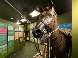 柴郡軍事博物館：探索切斯特的軍事歷史