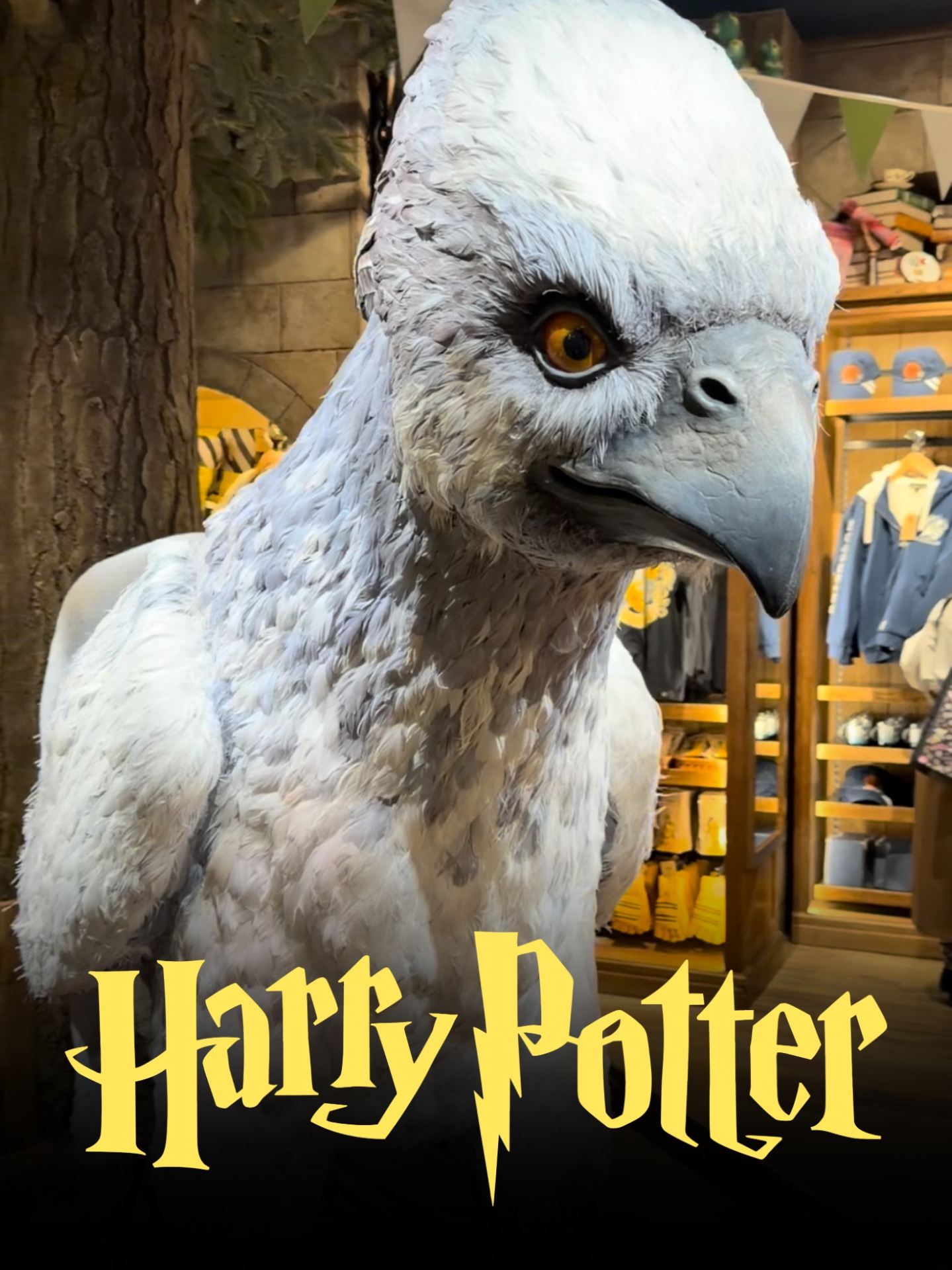 Магия в центре Токио: Гид по магазину Harry Potter в Харадзюку 🧙‍♂️✨ 🇯🇵 