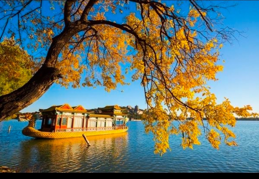 🍁 Осень в Пекине, Китай — город, раскрашенный золотыми листьями 🇨🇳✨

С приходом осени Пекин превращается в захватывающую дух страну чудес: золотистые деревья гинкго, огненно-красная листва, тихие сады и исторические достопримечательности, окруженные прекрасными осенними красками. Каждый уголок словно с открытки, что делает это время года одним из самых волшебных для знакомства со столицей Китая. ❤️

У Летнего дворца золотистые деревья обрамляют спокойное озеро, создавая потрясающие отражения на фоне традиционной китайской архитектуры. Парк «Ароматные холмы» превращается в захватывающее зрелище красной и оранжевой листвы, привлекая любителей природы и фотографов со всего мира.

Величественный Запретный город выглядит еще более очаровательно, когда осенние краски контрастируют с его культовыми красными стенами и золотыми крышами. Для незабываемого приключения Великая Китайская стена возле Мутяньюй предлагает панорамные виды на красочные горы, простирающиеся вдаль.

Осень в Пекине — это больше, чем просто время года. Это прекрасное сочетание истории, культуры, свежего воздуха и невероятного искусства природы. Будь то прогулка под золотистыми гинкго или любование древними дворцами в окружении осенней листвы, каждый момент кажется особенным. 🍂📸

✨ Пекин осенью — где древняя история встречается с золотой красотой природы.

Хотели бы вы увидеть эти прекрасные осенние пейзажи в Китае? 🍁💛

#Пекин #ОсеньВПекине #ОсеньВКитае #ПутешествияПоКитаю #ОсенниеКраски #ЛетнийДворец #ЗапретныйГород #ВеликаяКитайскаяСтена #ФотографияПутешествий #МоментыПутешествий #путешествия2026 #путешествия #чудесаприроды