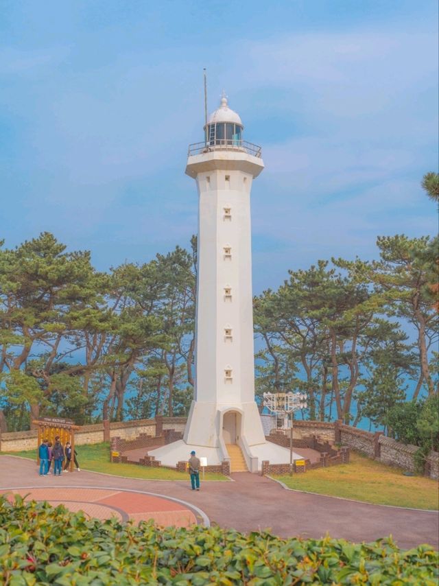 자연이 살아숨쉬는 이곳 "대왕암 공원"