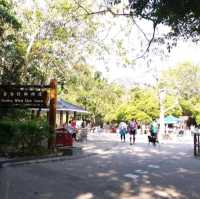 香港仔郊野公園係一個老少咸宜的地方