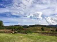 [Must-go] Wine Tasting Tour in Aus