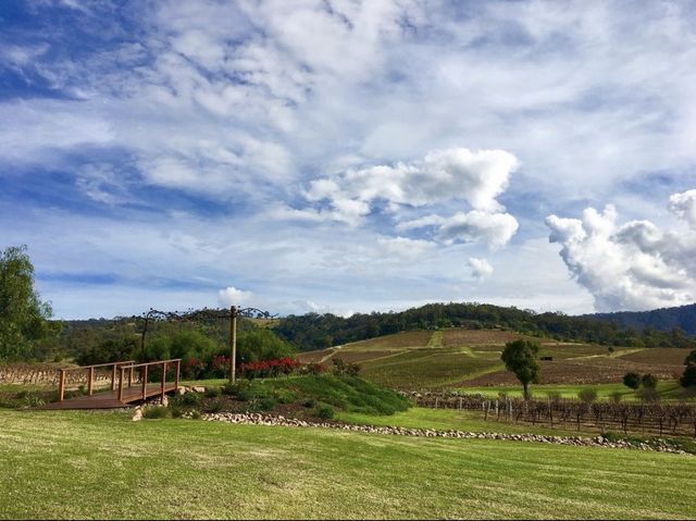[Must-go] Wine Tasting Tour in Aus