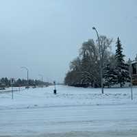 Edmonton Toronto 