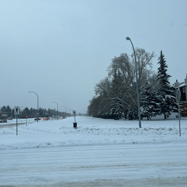Edmonton Toronto 
