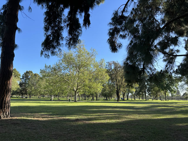 位於市區內佔地面積及大的自然公園