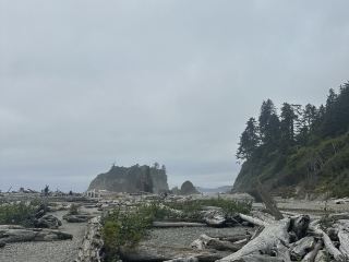 西雅圖一日遊！奧林匹克國家公園療癒之旅。