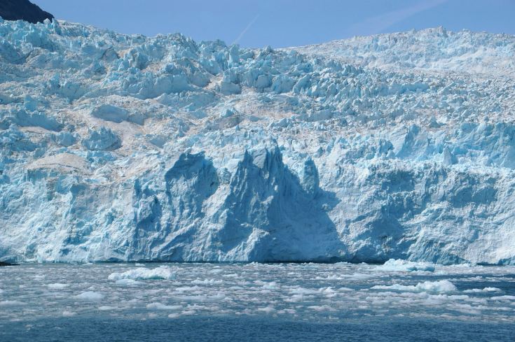 🇺🇸Alaska🚢 Cruise to track glaciers and marine wildlife